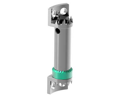 CERVICAL CAGE WITH PLATE 12MM