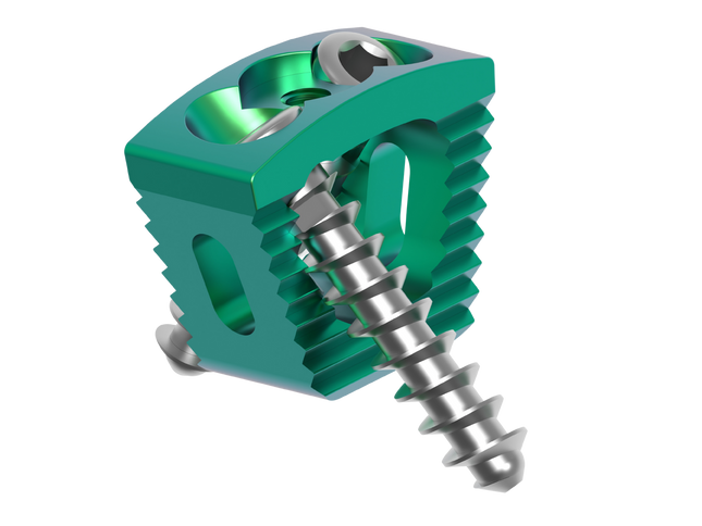 CERVICAL CAGE WITH SCREW 15MM