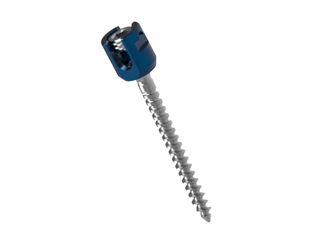 ILIAC SCREWS