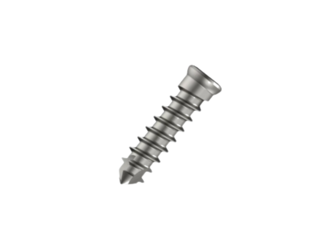SCREW FOR MINI CERVICAL PLATE