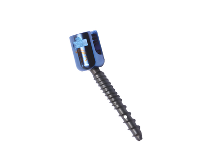 PEDICLE FENESTRATED POLYAXIAL SCREW