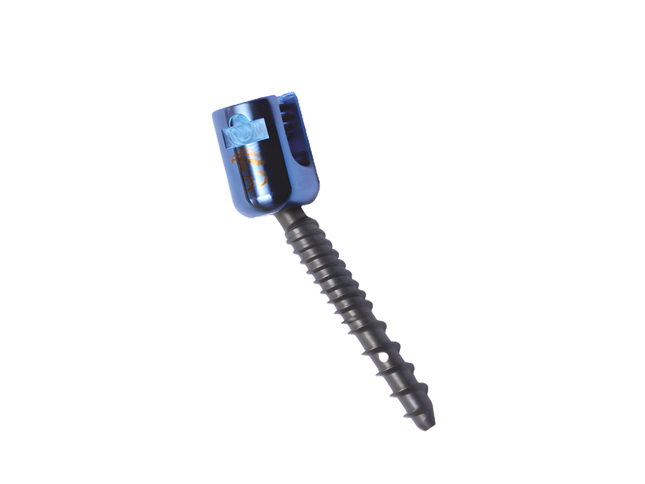 PEDICLE FENESTRATED POLYAXIAL SCREW