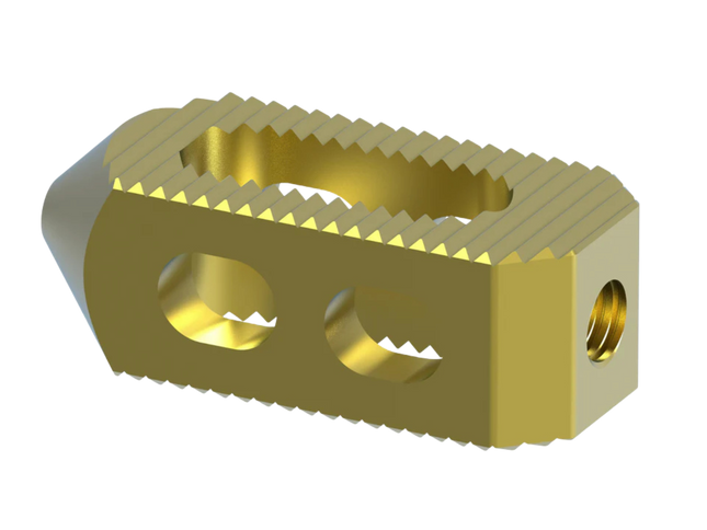 PLIF CAGE (BULLET CAGE)