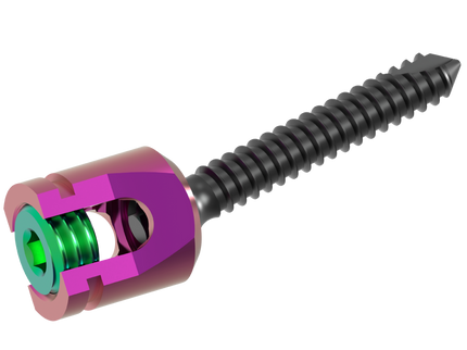 POSTERIOR CERVICAL SCREW