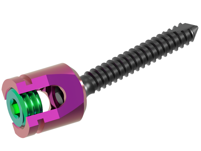 POSTERIOR CERVICAL SCREW