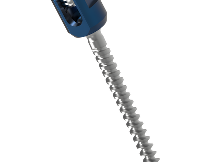 POLY AXIAL SCREW