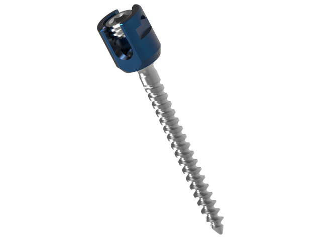 POLY AXIAL SCREW