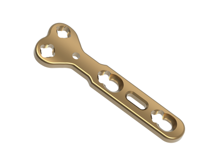 POLY AX T- FUSION PLATE LOCKING (STANDARD)