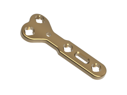 POLY AX T- FUSION PLATE LOCKING (SHORT)